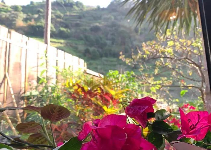 Pico Paraiso Madeira Ubytování v soukromí