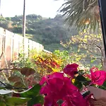 Pico Paraiso Madeira منزل للإقامة