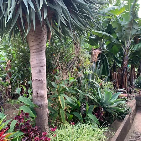 Pico Paraiso Madeira פונטה דו סול