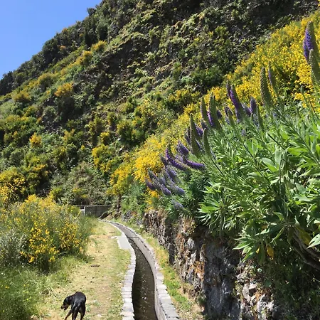 民宿 Pico Paraiso Madeira 蓬他达维托亚