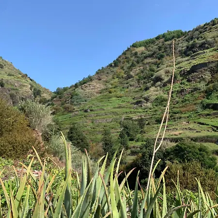Δωμάτια σε οικογενειακή κατοικία Pico Paraiso Madeira Ponta do Sol (Madeira)