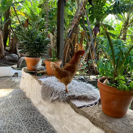 Accommodatie bij particulieren Pico Paraiso Madeira