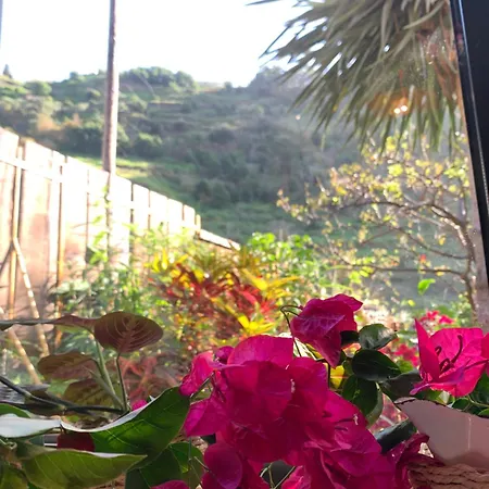Pico Paraiso Madeira בית אירוח