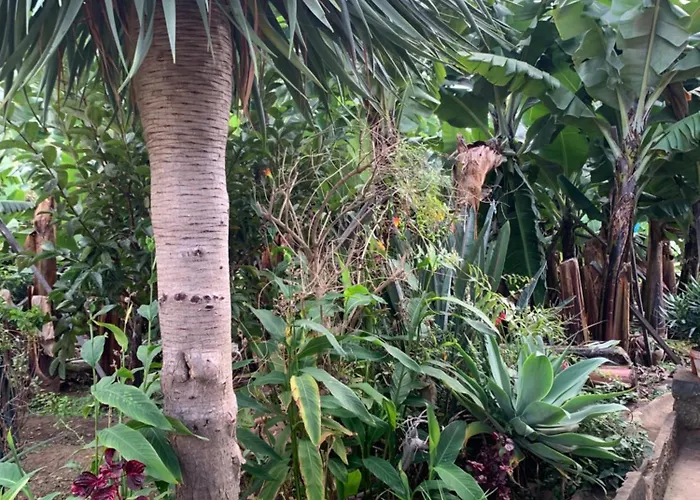 Pico Paraiso Madeira Ponta do Sol (Madeira)