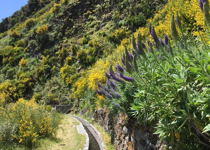 Habitación en casa particular Pico Paraiso Madeira Ponta do Sol (Madeira)