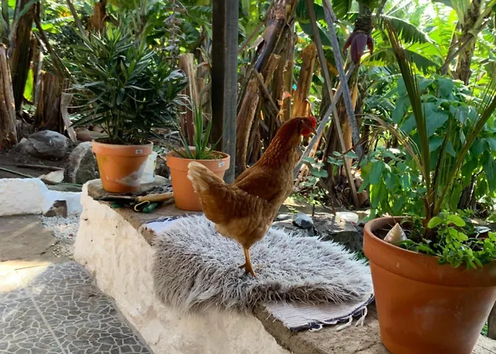 Alloggio in famiglia Pico Paraiso Madeira